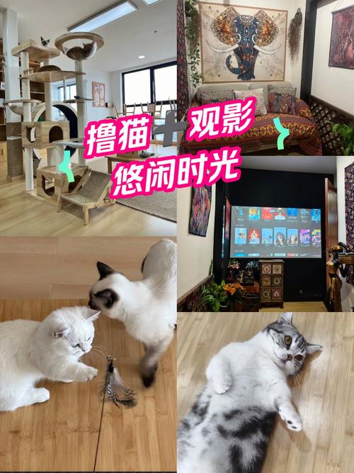 久久婷婷色香五月综合激激情的相关介绍
