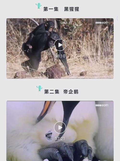 免费的熟女黄色2级片的相关介绍