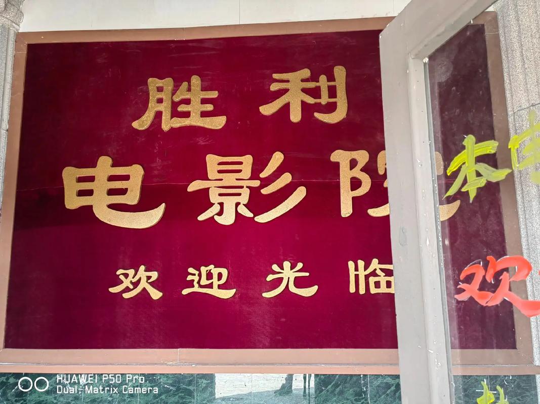 大人看的毛片的相关介绍