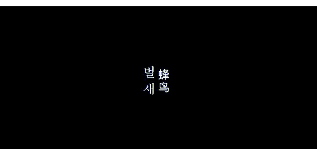 av少妇二区的相关介绍