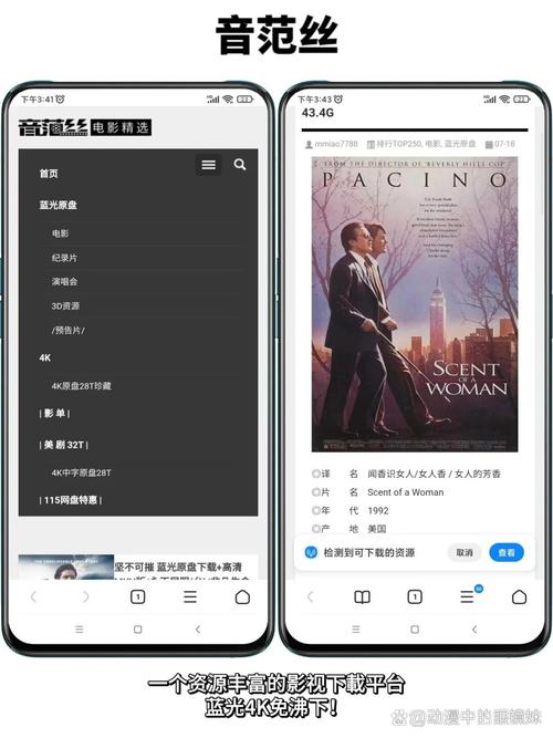 熟女一级片的相关介绍