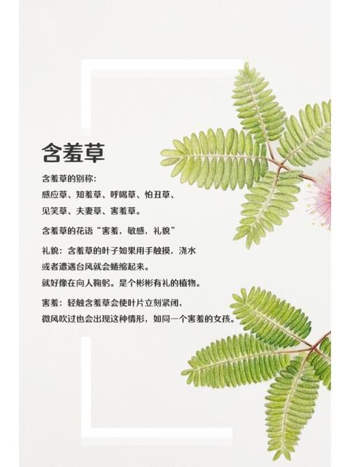 欧美少妇人妻在线的相关介绍
