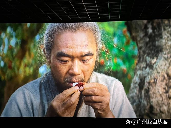 欧美亚洲国产成人在线的相关介绍