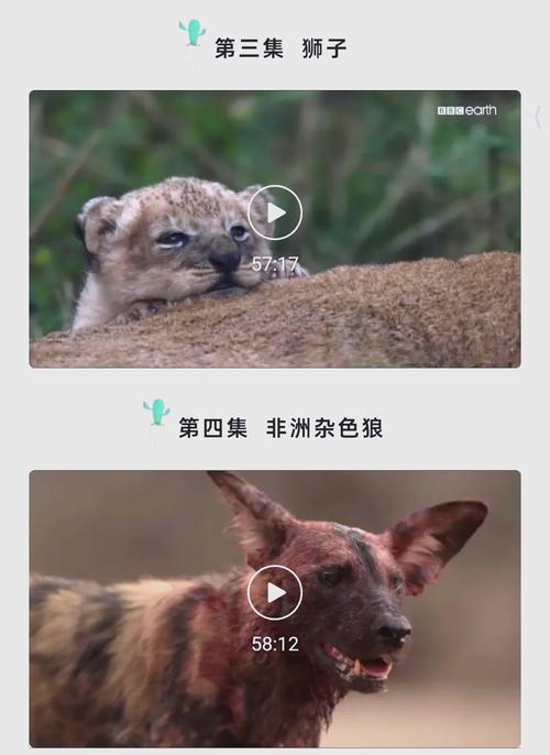 老师和学生啪啪啪漫画的相关介绍