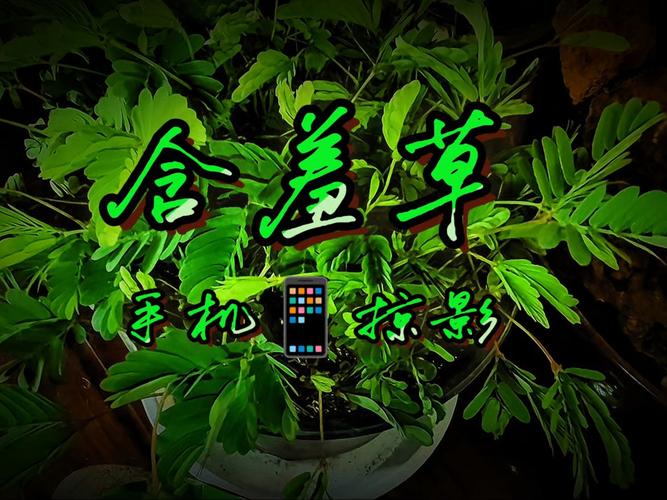 激情av一级片的相关介绍
