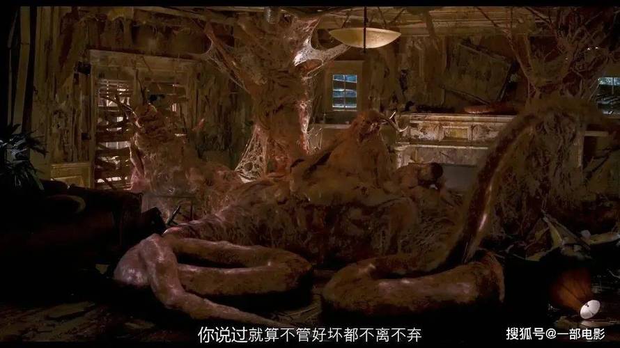 调教,sm,高h小说的相关介绍