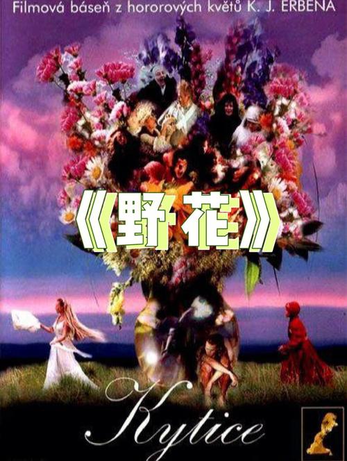 八零影院的相关介绍