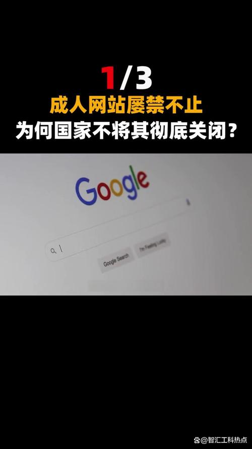 成年人看毛片网站的相关介绍
