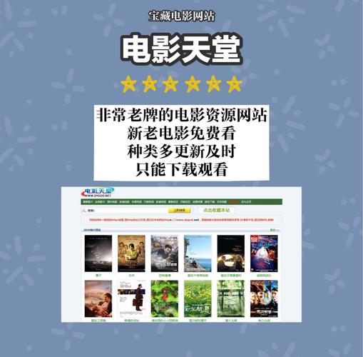 久久久精品中精品的相关介绍