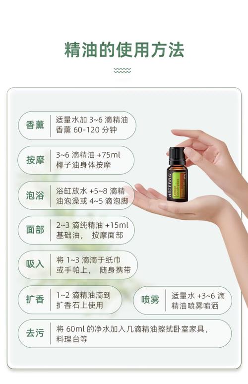 邻居家的天使大人小说的相关介绍
