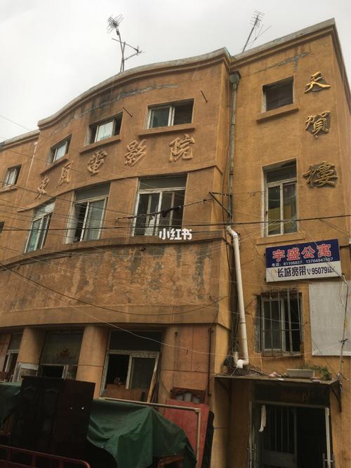 女秘书巨乳的相关介绍