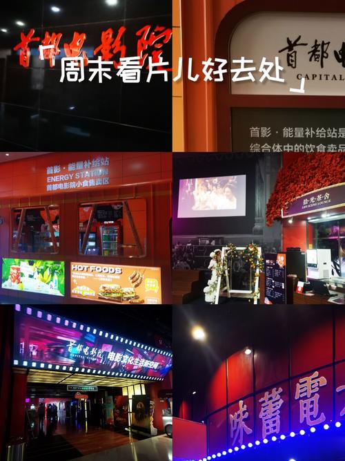 激情片xx的相关介绍