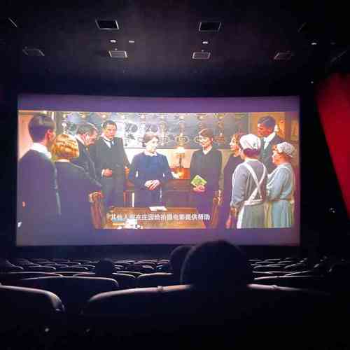 亚洲激情久久久久的相关介绍