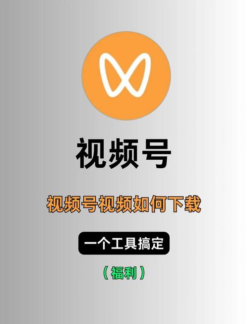 一边亲一边摸一边操的相关介绍