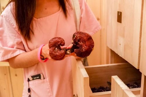 官场人妻的相关介绍