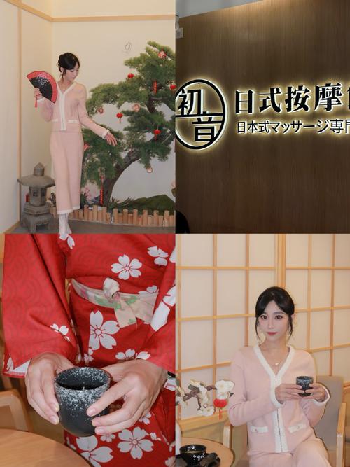 后宫调教(高h,np)的相关介绍