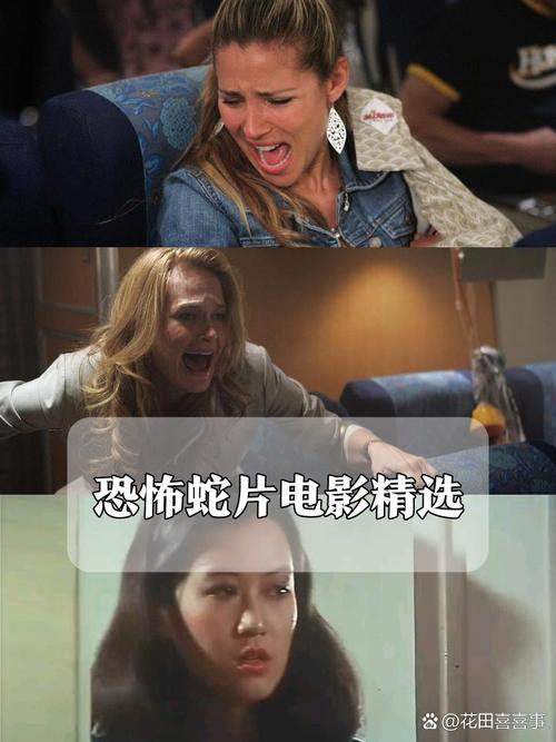 新新影院影音先锋网的相关介绍