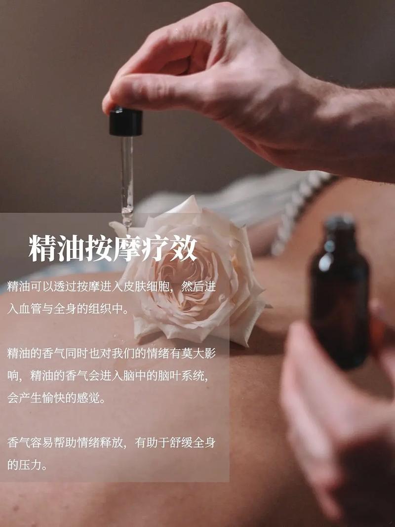 潇湘影院的相关介绍