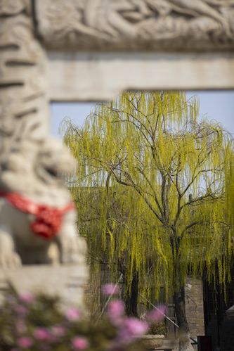 一色影院的相关介绍