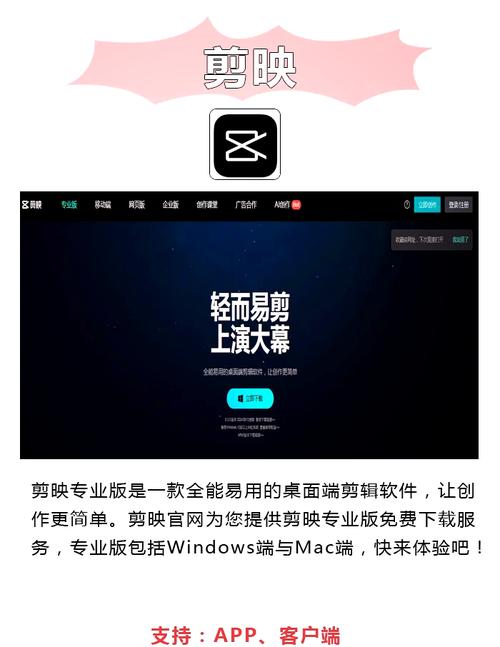 美国成人影院的相关介绍