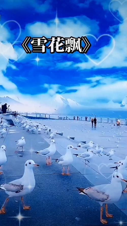 操出白浆18p的相关介绍