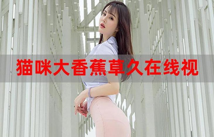2019手机版光棍影院免费的相关介绍