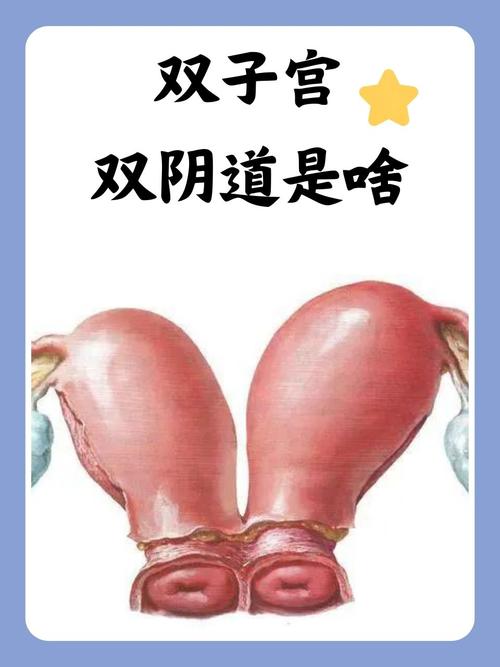 18禁app软件下载的相关介绍