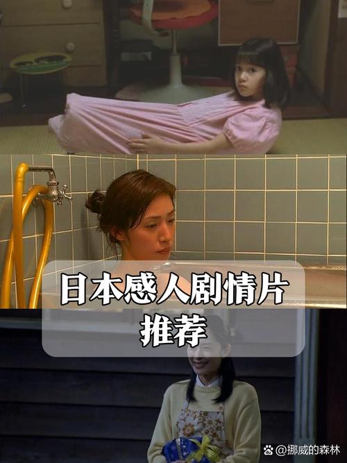 sm调教文高h的相关介绍