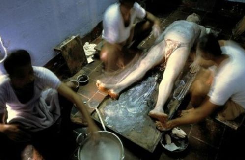 蚂蚁影院的相关介绍