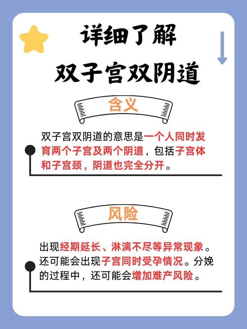 快看视频下载app的相关介绍