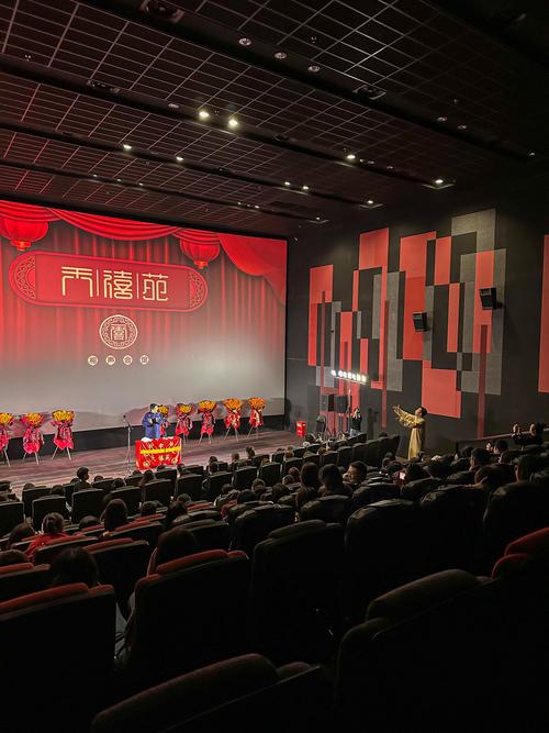 双双影院的相关介绍