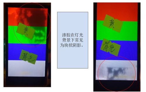 辣人妻被强h文的相关介绍