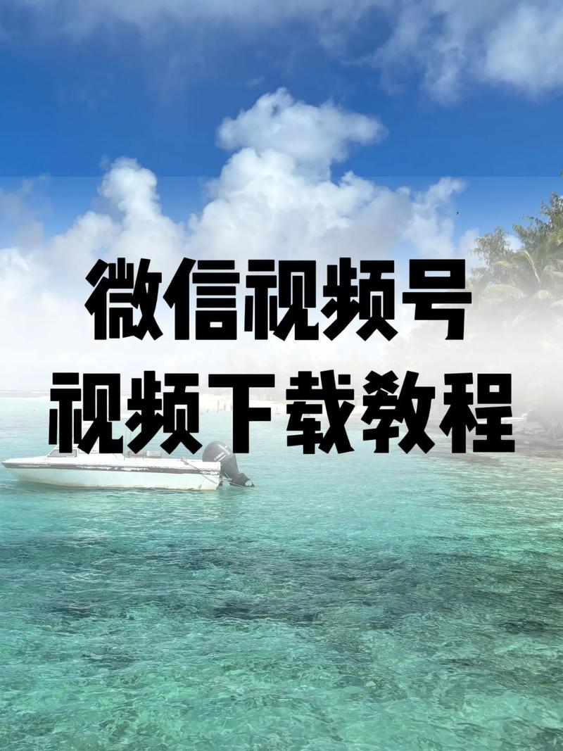 午夜寂寞影院支持安卓手机的相关介绍