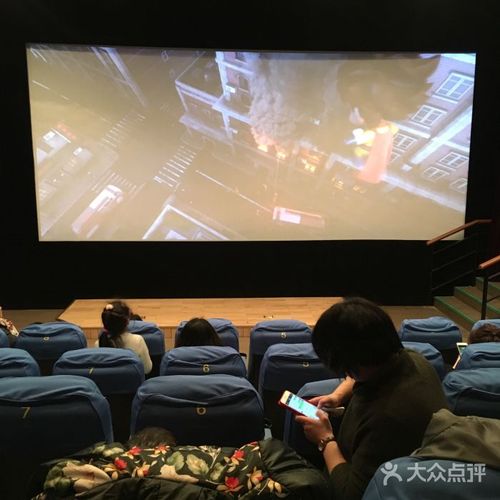 免费视频app下载的相关介绍