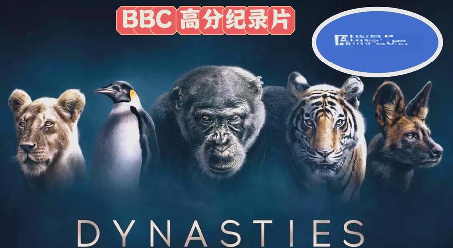 福州电影院的相关介绍