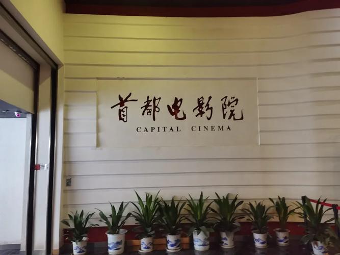 7色影院的相关介绍