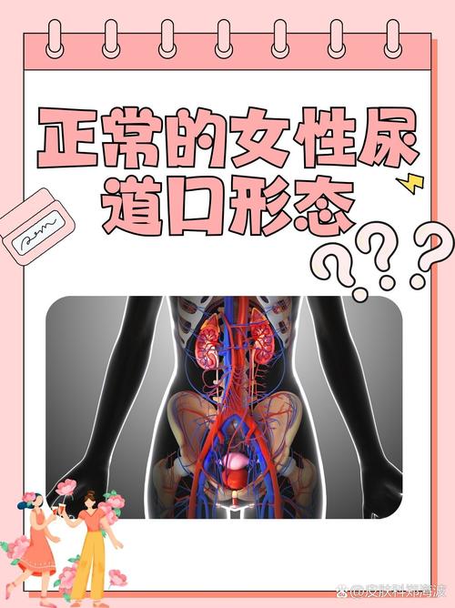 酷客免费影院的相关介绍