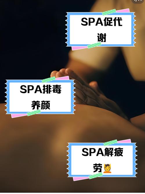 星际双性被脔日常h宫交的相关介绍