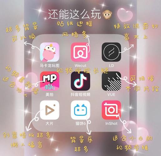 老司机影院国内版的相关介绍
