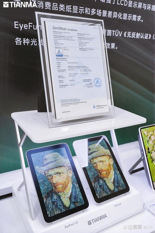大桥未久大尺度写真集的相关介绍