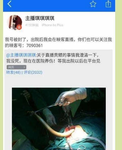 视频app下载版的相关介绍