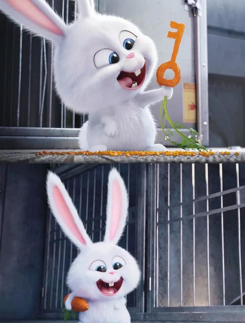 欧美少妇xxxx图片的相关介绍