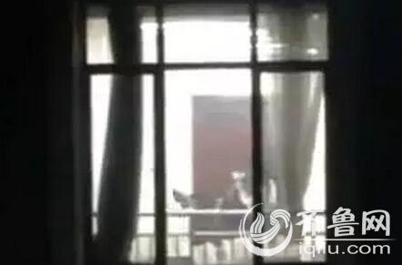 猛操美女老师的相关介绍