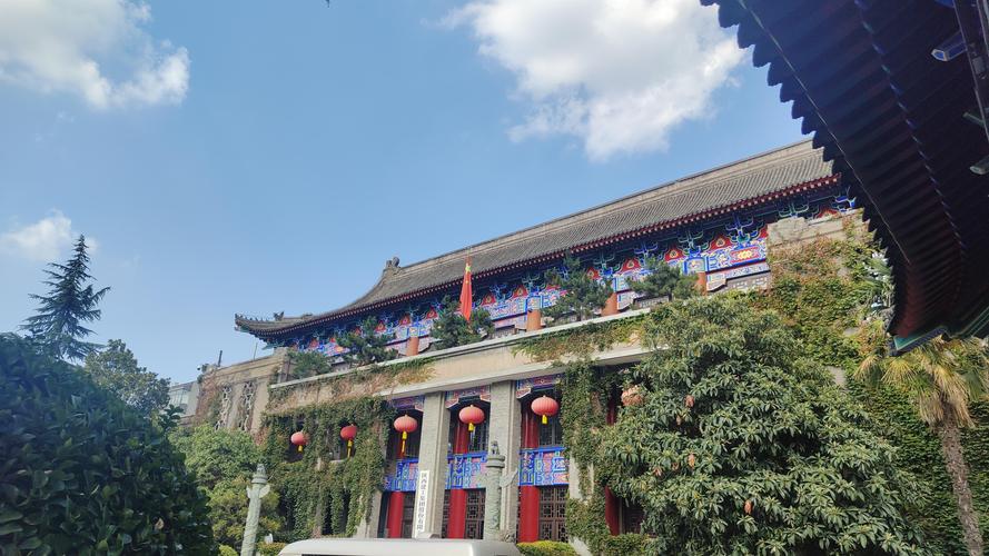 精品人妻少妇嫩草av的相关介绍