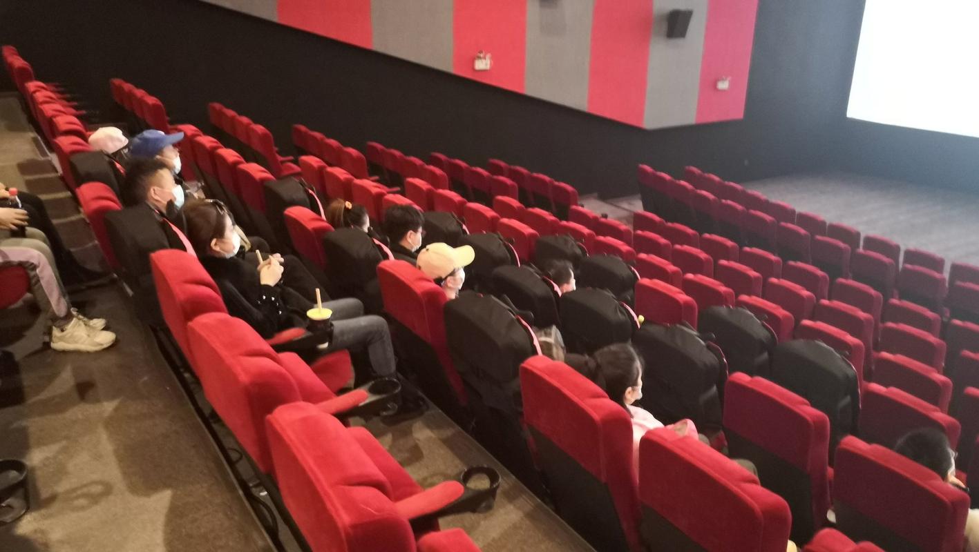 龙港电影院的相关介绍