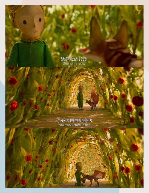 骚小妹影院的相关介绍