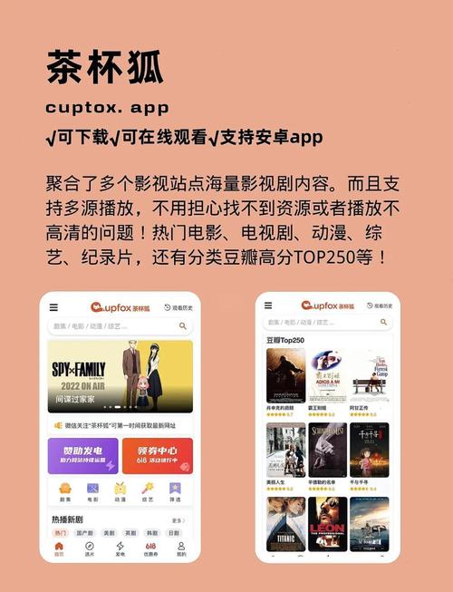 亚洲av少妇熟女综合网的相关介绍